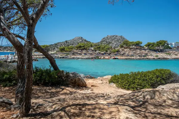 Пляж Афонсісос Острів Агрістрія Греція Скелястий Пляж Сосновим Деревом Люди — стокове фото