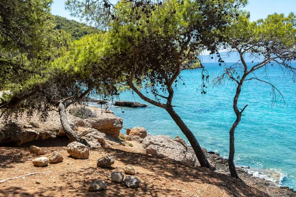 Playa Dragonera Isla Agistri Grecia Paisaje Rocoso Cubierto Pino Mar —  Fotos de Stock