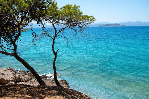 Playa Dragonera Isla Agistri Grecia Paisaje Rocoso Cubierto Pino Mar — Foto de Stock