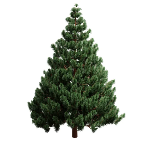 Vánoční Strom Izolované Bílém Průhledném Pozadí Borovice Zelená — Stock fotografie