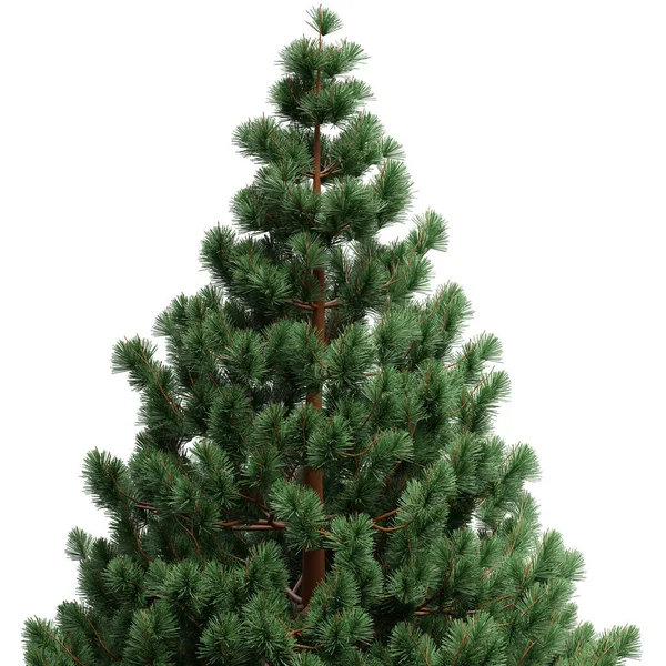 白い透明な背景に隔離されたクリスマスツリー 緑の火の松の木 — ストック写真