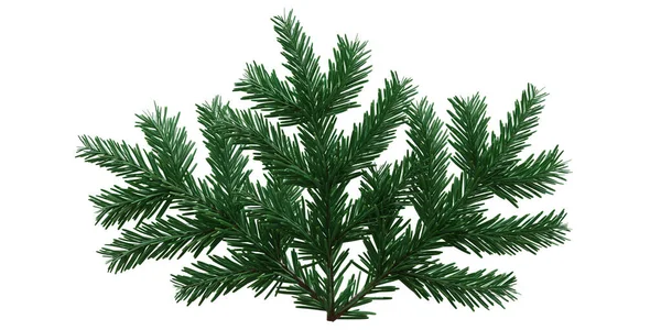크리스마스 배경에 전나무 트위그 Xmas — 스톡 사진