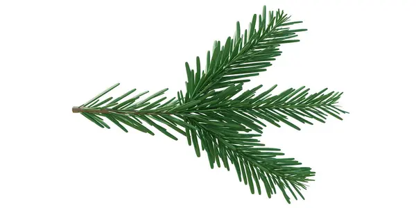 Weihnachten Fichte Grüner Tannenzweig Isoliert Auf Weißem Transparentem Hintergrund Tannenzweig — Stockfoto