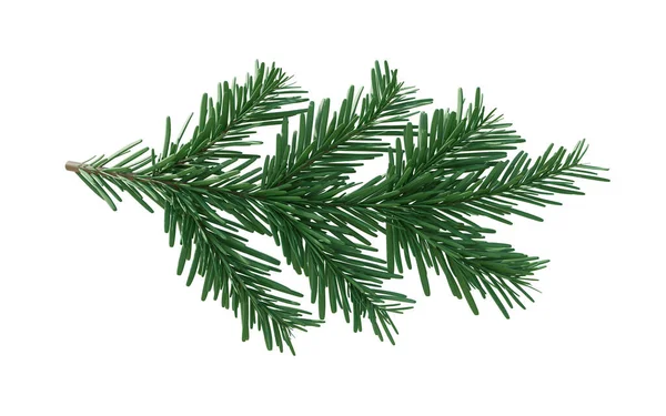 圣诞云杉 绿色冷杉分枝 白色透明背景 圣诞树分枝 — 图库照片