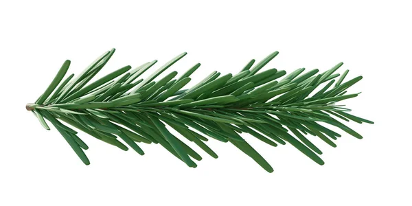 Weihnachten Fichte Grüner Tannenzweig Isoliert Auf Weißem Transparentem Hintergrund Weihnachtskiefernzweig — Stockfoto