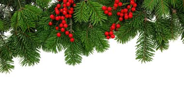 Noel ağacı sınırı ve kırmızı böğürtlen süslemesi beyaz şeffaf