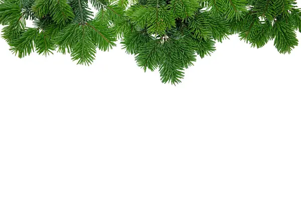Christmas Tree Border Red Berries Decoration Isolated White Transparent — Stock Photo, Image