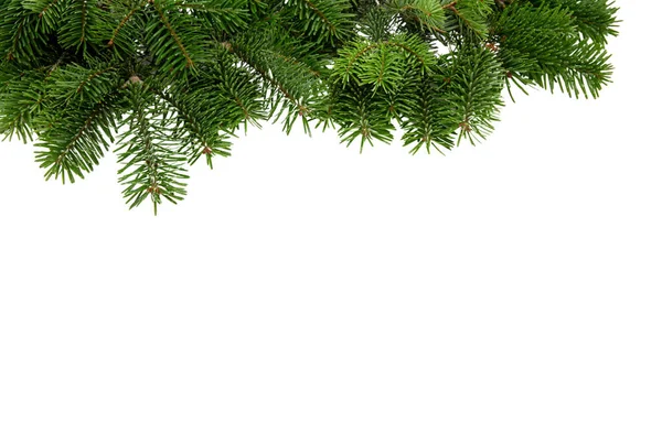 Borde Del Árbol Navidad Aislado Blanco Transparente Abeto Navidad Rama — Foto de Stock