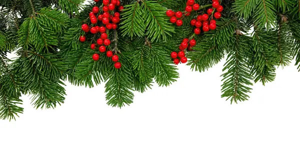 Christmas Tree Border Red Berries Decoration Isolated White Transparent — Stock Photo, Image