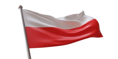 Polonya bayrağı beyaz şeffaf arkaplanda izole edildi