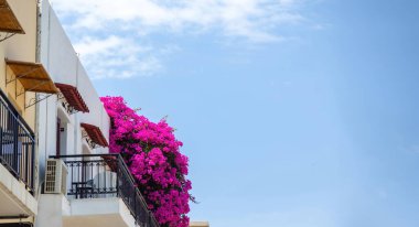 Balkonlu geleneksel Yunan binası ve çiçek açan mor bougainvillea bitkisi, mavi gökyüzü arka planı, yaz güneşli günü. Görünüm altında, alanı kopyala