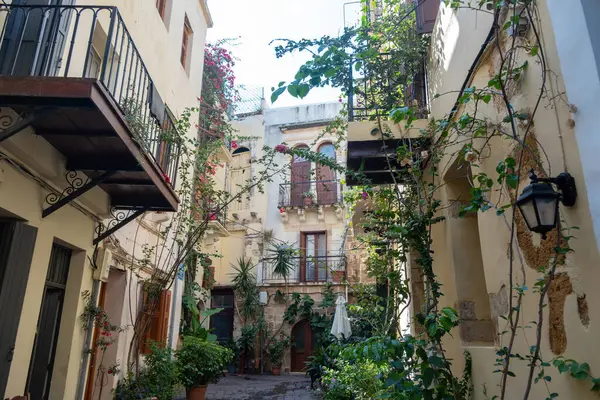 Dar asfalt sokakta otlu tencere, balkonlu geleneksel bina, yaz güneşli günü. Yunanistan Girit Adası, Chania Eski Kasabası.