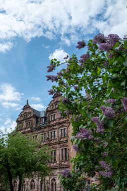Almanya, Friedrich, Friedrichsbau binası, Heidelberg Schloss, Heidelberg kalesi, saray, Baden-Wurttemberg. Alman ortaçağ turu. Dikey