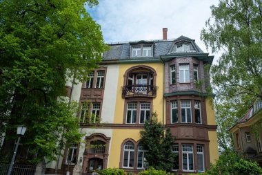 Heidelberg eski kasabası, varış yeri Almanya. Geleneksel etkileyici, heybetli tarihi binanın dışı. Ağaç, bulutlu arka plan. Görüntü altında