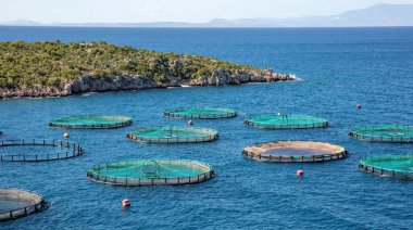 Yunanistan 'da balık çiftliği. Aquaculture balık endüstrisi, açık mavi dalgalı deniz suyu arka planında balık ağıyla çevrili kafes. Taze deniz ürünleri..