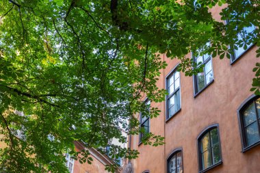 Stockholm, Gamla Stan 'deki Castanea Eski Şehir Pansiyonu. Kiralama odasının önündeki ağaç yaprağı gezgin geçmişi için. Görüntü altında