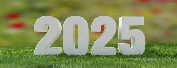 2025 Happy New Year Number Lush Grass Field Blur Background Royalty Free Stock Images