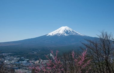 Fuji Dağı ve kiraz çiçeği Sakura Sprin 'deki Kawaguchiko Gölü' nde.