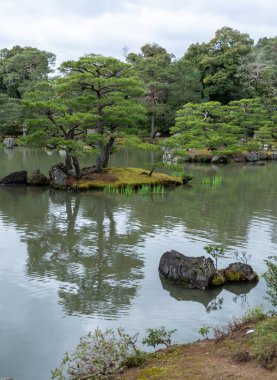 Göllü Japon bahçesi, sakin suların etrafındaki ağaçlar ve kayalar Kinkaku-ji bahçesi ve gölü, Kyoto, Japonya