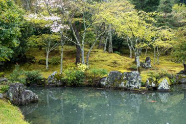 Göllü Japon bahçesi, sakin suların etrafındaki ağaçlar ve kayalar Kinkaku-ji bahçesi ve gölü, Kyoto, Japonya