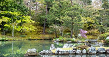 Göllü Japon bahçesi, sakin suların etrafındaki ağaçlar ve kayalar Kinkaku-ji bahçesi ve gölü, Kyoto, Japonya