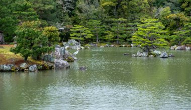 Göletli Japon bahçesi, kayaların üzerinde dinlenen turna kuşu. Kinkaku-ji bahçesi ve göl, Kyoto, Japonya