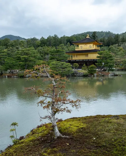 Altın Pavilyon Zen Budist tapınağı, Kinkakuji bahçesi, Kyoto, Japonya. Rokuonji Geyik Bahçesi Templ