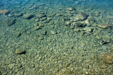 Açık kristal sığ deniz suyu ve kayalık deniz tabanı dokusu. Sakin şeffaf su yüzeyi, su altı çakıl taşının üstünde..