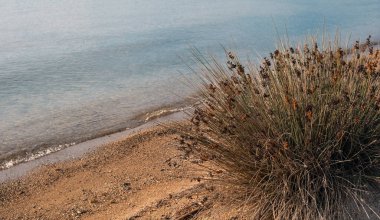 Dalgalı deniz, gün batımında küçük çakıl taşlarıyla kumlu sahil manzarası. Yunanistan doğası