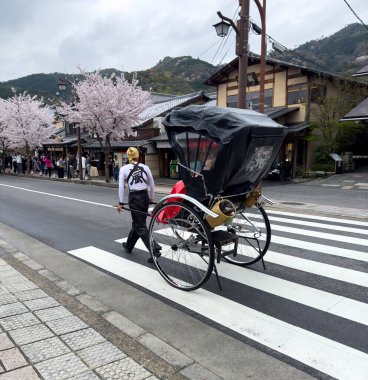 Japan. Kyoto. April 08, 2024. Man pulling traditional rickshaw crossing Japanese empty street. Blooming cherry tree, springtime clipart