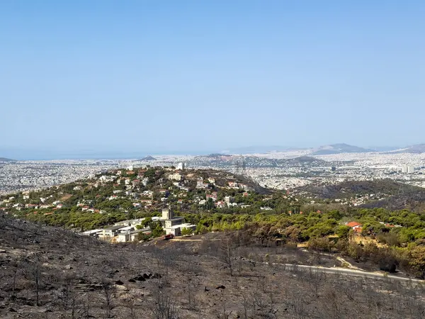 stock image Athens cityscape view from Penteli mountain, Burnt trees the day after forest fire,