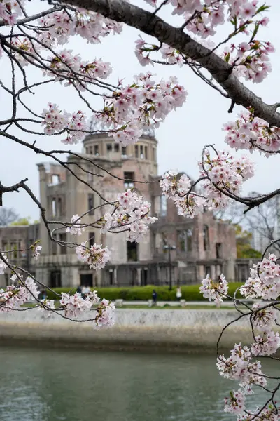 stock image Hiroshima Peace memorial, Atomic Bomb or Genbaku Dome, Japan. View of building ruins through cherry blossoms