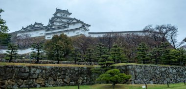 İlkbaharda Japonya 'daki Himeji Kalesi. Beyaz balıkçıl, Japon çam ağaçları ve bulutlu gökyüzü