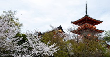 Bahar mevsiminde Kiyomizu DeraTemple ve Sanjunoto tapınakları, kiraz çiçekleri ve bulutlu gökyüzü, Japonya Kyoto