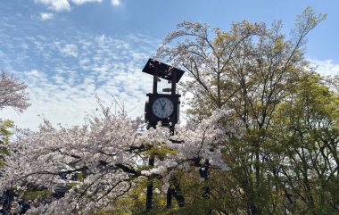 Açık hava saati ve kiraz çiçekleri Kiyomizu dera tapınağında, mavi gökyüzü arka planında. Japonya 'da bahar sakura sezonu