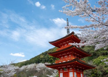 Japonya 'da Sakura çiçek mevsimi. Sanjunoto pagoda ve çiçek açan kiraz ağaçları, mavi gökyüzü, Kiyomizu dera Temple, Kyoto