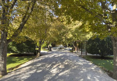 Şehir parkında bir patika. Yeşil ağaçların arasındaki patika, mavi gökyüzü, güneşli gün