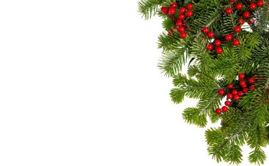Noel ağacı sınırı ve kırmızı böğürtlen süslemesi beyaz, Noel tatili çelenklerinde izole