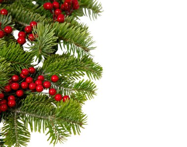 Noel ağacı sınırı ve kırmızı böğürtlen süslemesi beyaz, Noel tatili çelenklerinde izole