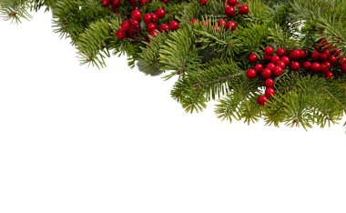 Noel ağacı sınırı ve kırmızı böğürtlen süslemesi beyaz, Noel tatili çelenklerinde izole