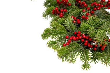 Noel ağacı sınırı ve kırmızı böğürtlen süslemesi beyaz, Noel tatili çelenklerinde izole