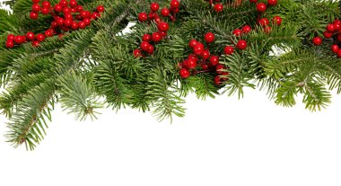 Noel ağacı sınırı ve kırmızı böğürtlen süslemesi beyaz, Noel tatili çelenklerinde izole