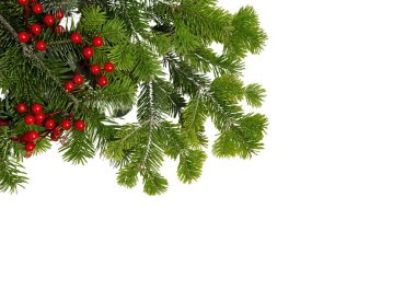 Noel ağacı sınırı ve kırmızı böğürtlen süslemesi beyaz, Noel tatili çelenklerinde izole