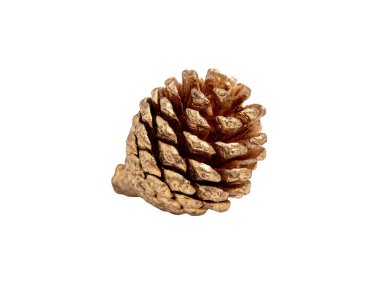 Pine cone isolated on white, golden painted conifer cone closeup clipart