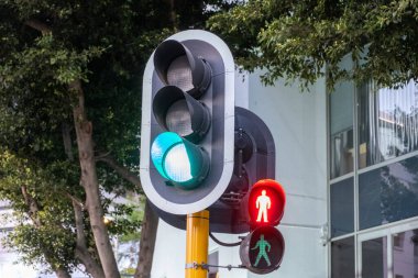 Arabalar için yeşil ışık ve şehir merkezindeki yayalar için trafik ışıkları. Ofis binaları ve ağaçlar