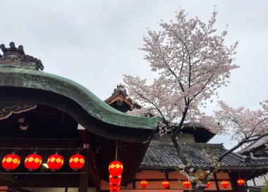 Aydınlatılmış kırmızı fenerler geleneksel bir çatıdan sarkıyor, Japon tapınağı ya da tapınağı üst kısımda, ahşap oymalı eğri yeşil çatı.