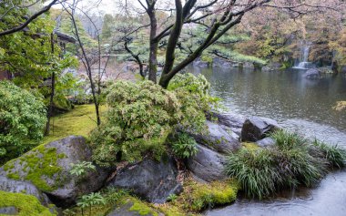 Yeşillik, yosun kaplı kayalar, eğreltiotları ve süslü otlarla çevrili bir şelalesi olan Japon bahçe sahnesi.