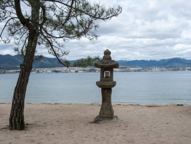 Japonya, Miyajima Adası. Kumlu sahilde taş fener ve çam ağacı, bulutlu gökyüzü