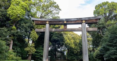 Tokyo, Japonya 'daki Meiji Tapınağı (Meiji Jingu) girişindeki Torii kapısı.