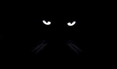 Siyah arka planda kedi gözü. 13. Cuma konsepti. Kötü şans tarihi batıl inanç.